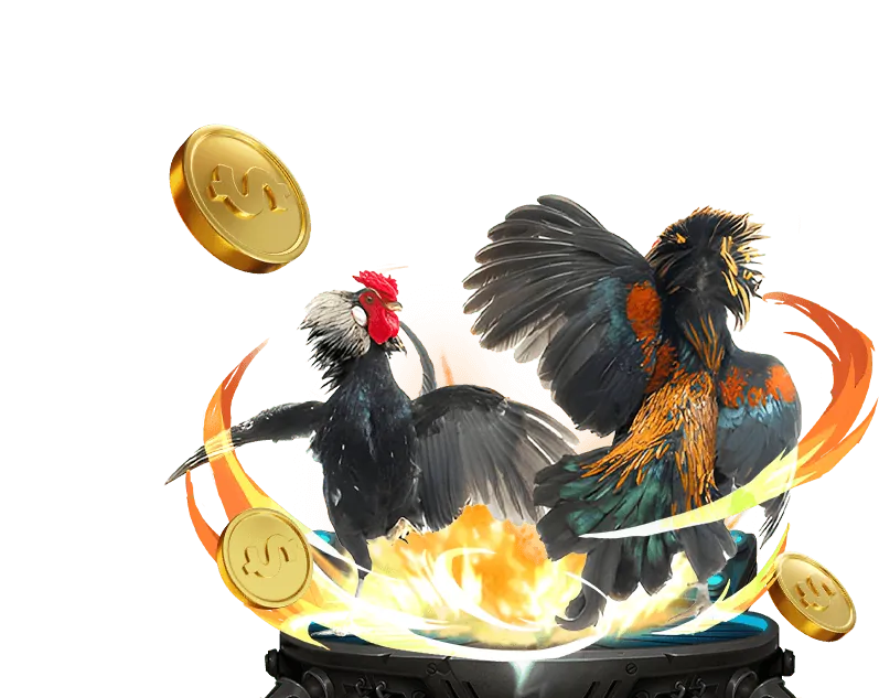 Mẹo chơi đá gà hiệu quả tại go666 win