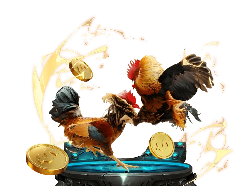 Nền tảng go666 win đáng tin cậy